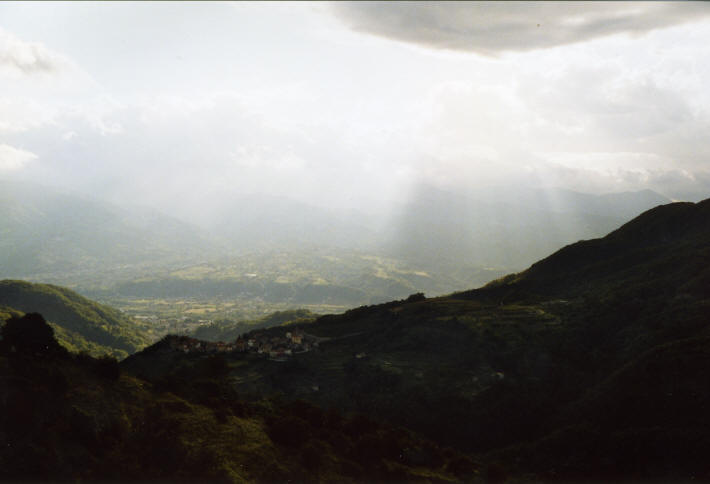 5 Immersione nella natura.jpg